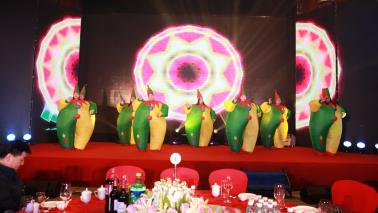 图片8.jpg 图片8.jpg